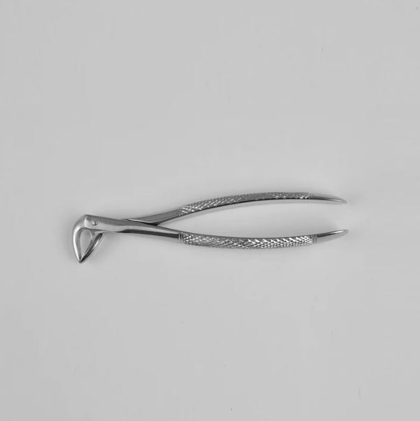 English Pattern Lower Roots Slender Pattern Extracting Forceps Fig.33A