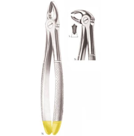 Extracting Forceps Lower Molars, Diamond-Coated Jaws Fig 22