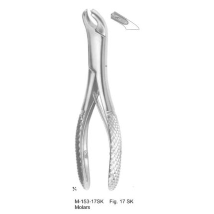 Extracting Forceps Molars Fig 17 Sk