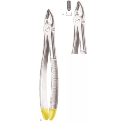 Extracting Forceps Upper Incisors And Canines, Diamond-Coated Jaws Fig 1