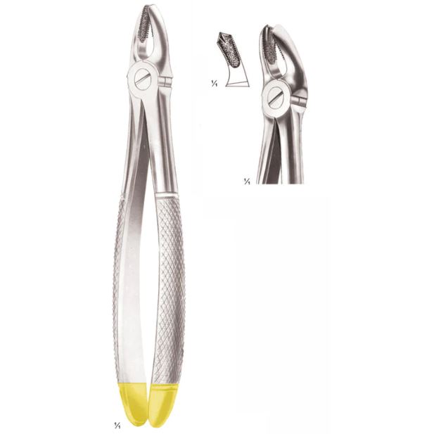 Extracting Forceps Upper Molars, Right, Diamond-Coated Jaws Fig 17