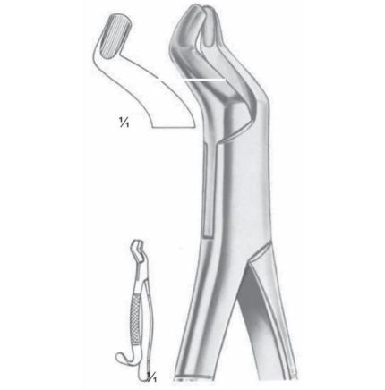 Extracting Forceps Upper Third Molars Fig 210 H