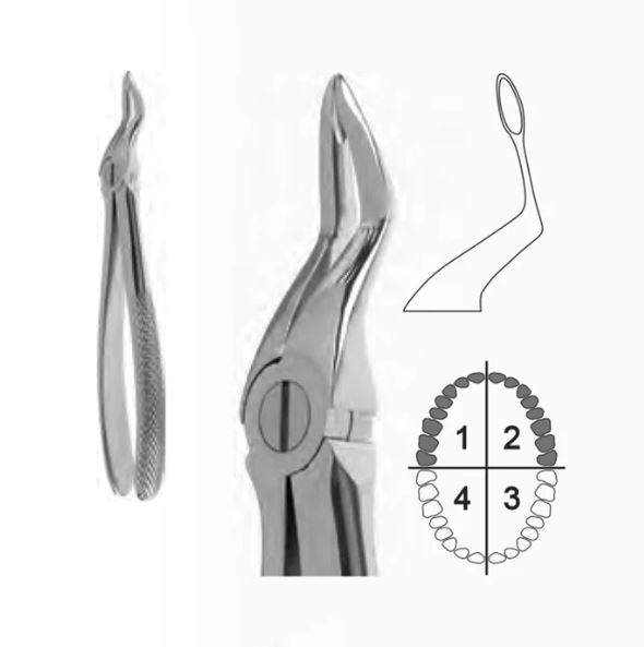 Extraction Forceps English Pattern, Upper Roots Fig. 51F 17,5 Cm