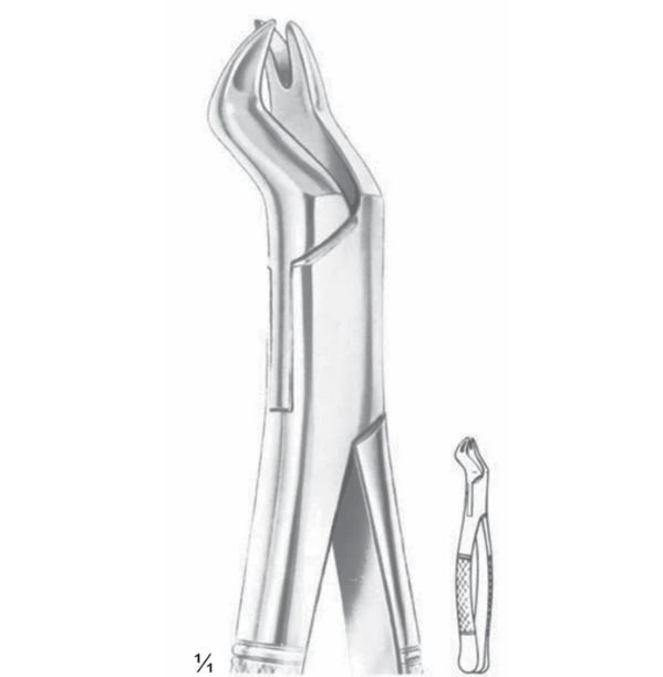 Nevius Extracting Forceps Upper Molars, Right Fig 88 R