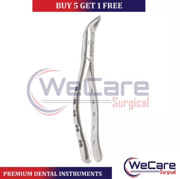 12 Extracting Forceps #151